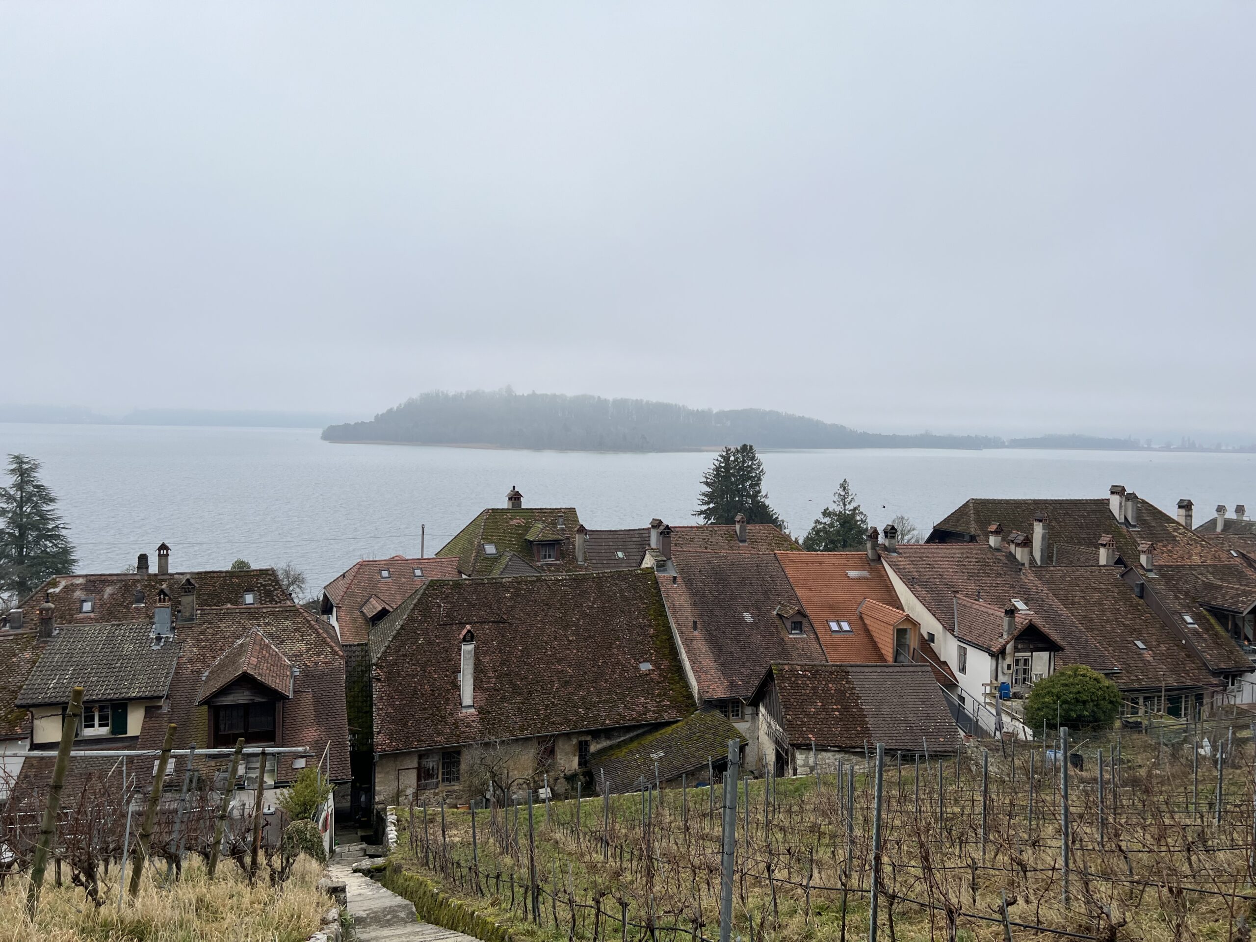 Featured image for “23.-25. Januar 2026, Ligerzer Erzählabend”